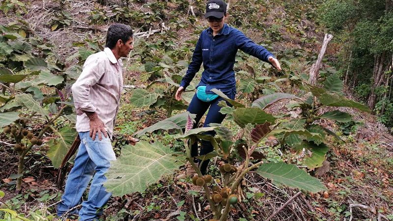 Familias de Aguachica conservarán 100 hectáreas de la serranía del Perijá (Copy)