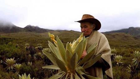 Campesinos recibirán recompensa por cuidar los páramos en Boyacá